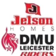 莱切斯特骑士队标